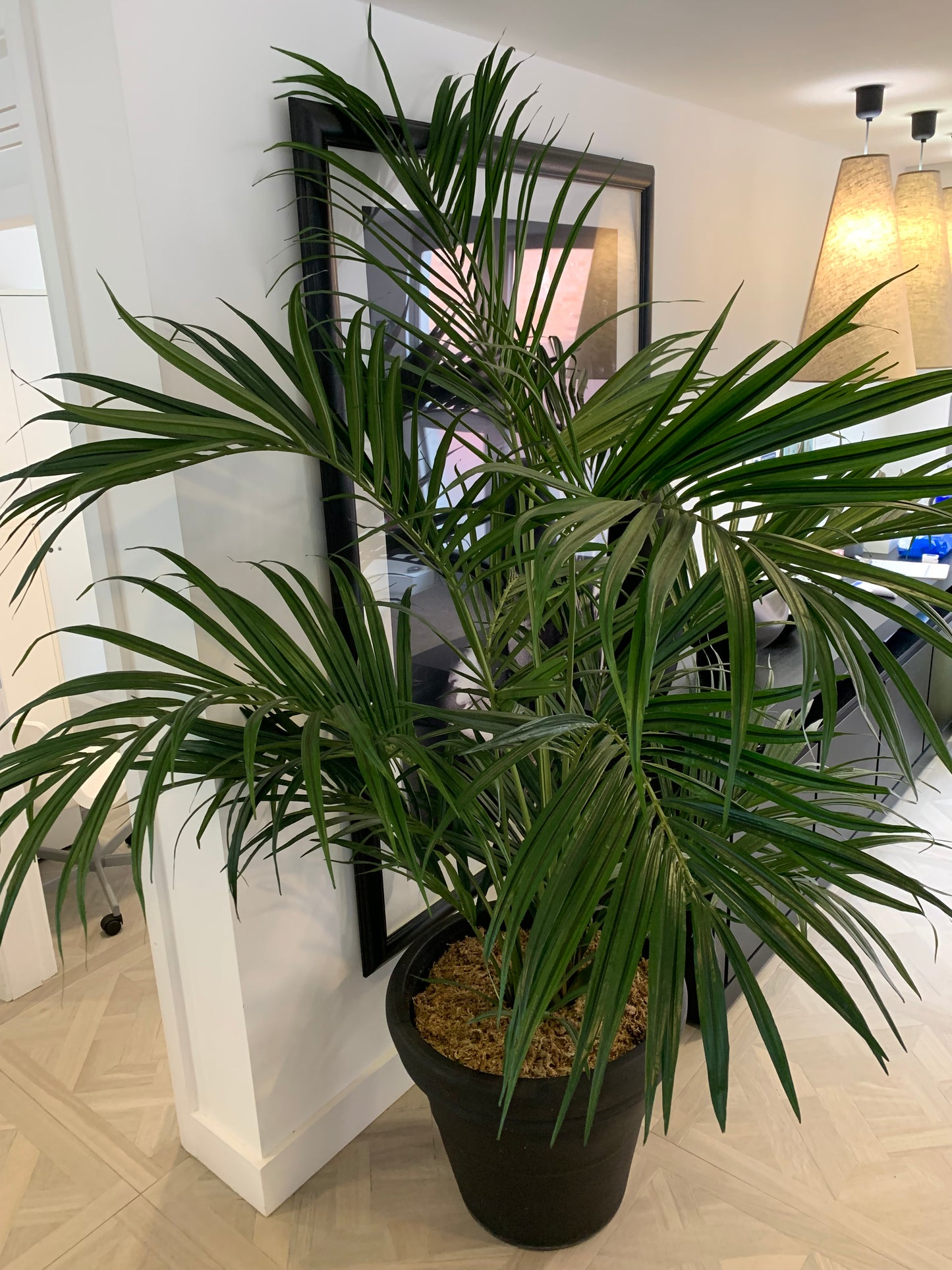 7' Artificial Palm Plant - Silk Tropical Faux Palms - Preloved By Kelly