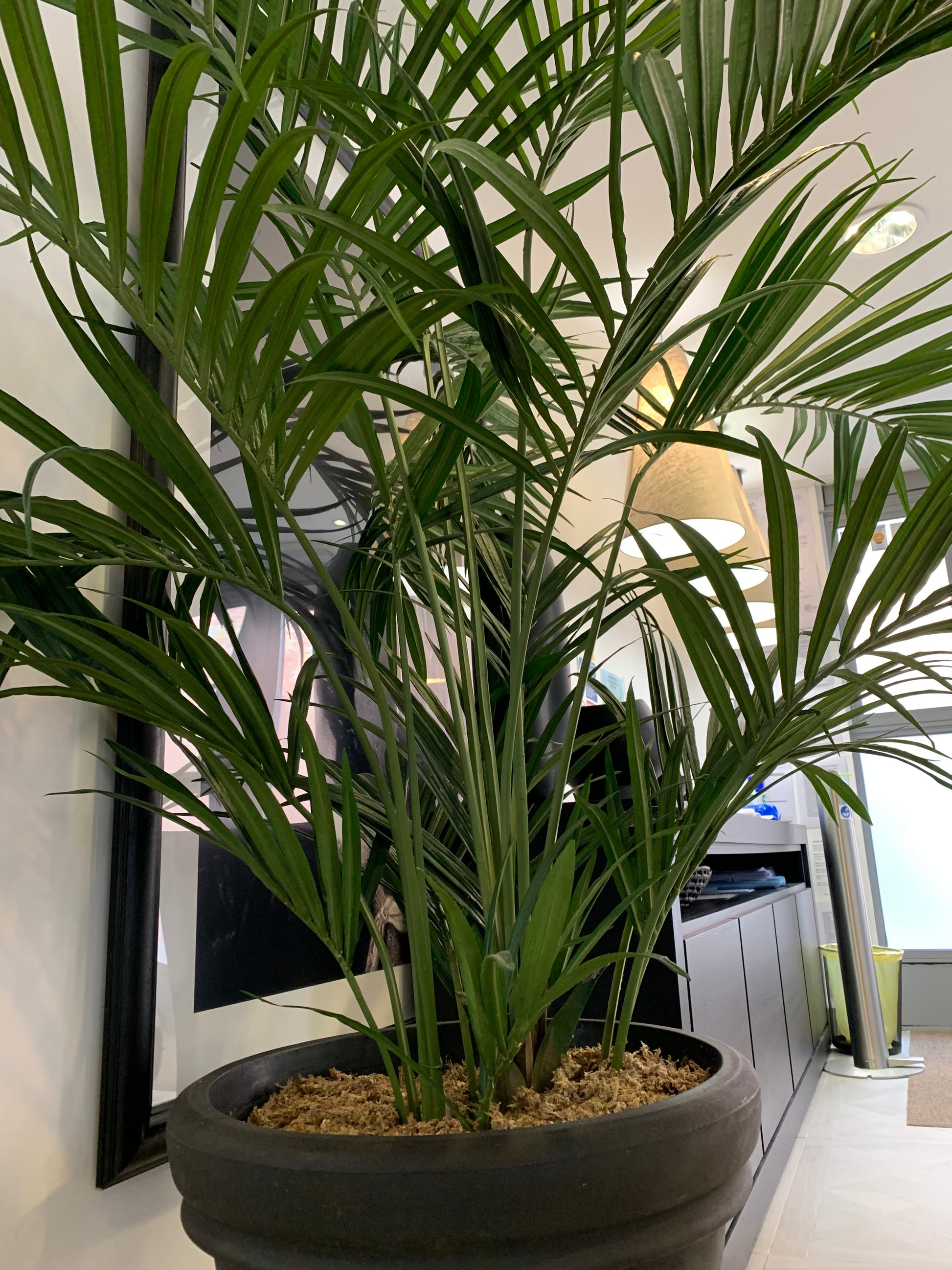 7' Artificial Palm Plant - Silk Tropical Faux Palms - Preloved By Kelly